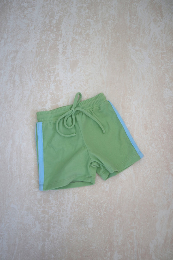 SAMPLE | Remy | Spearmint (2)